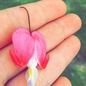 Meet your Posher, Natalie